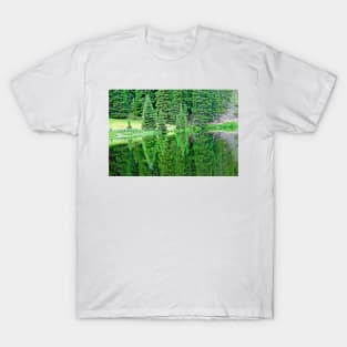 Lake Irene 12-1 T-Shirt